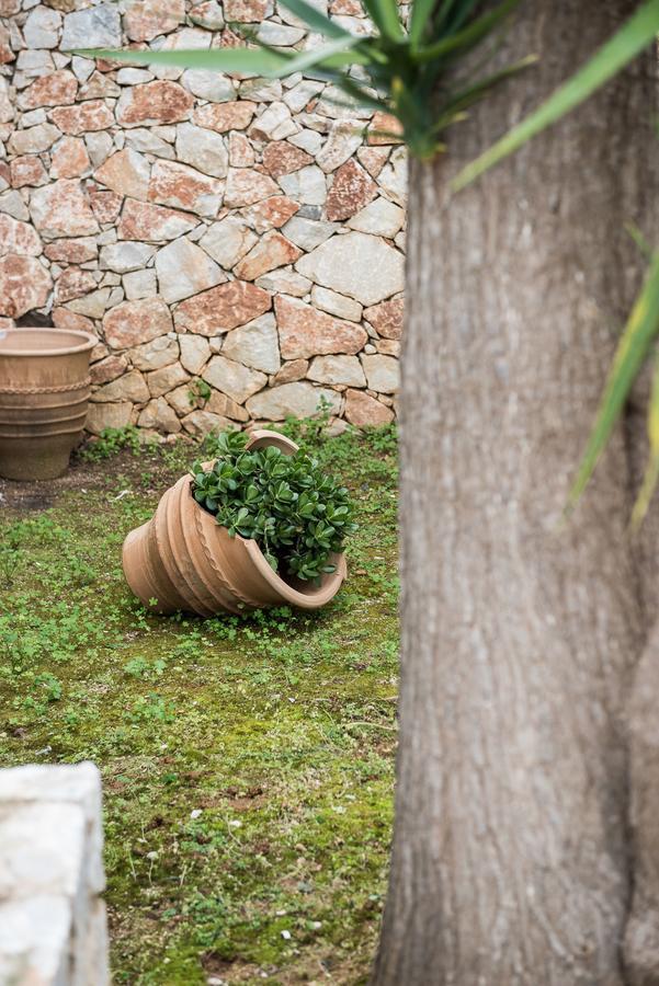 Zen Serenity Retreat With Great Outdoors, Pool & Parking Aptera Экстерьер фото