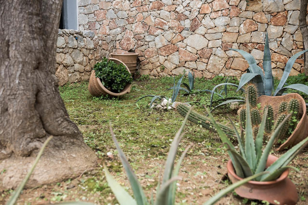 Zen Serenity Retreat With Great Outdoors, Pool & Parking Aptera Экстерьер фото